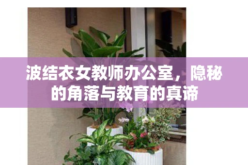 波结衣女教师办公室，隐秘的角落与教育的真谛