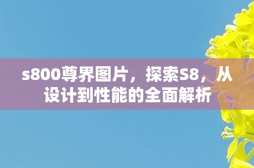 s800尊界图片,探索S8,从设计到性能的全面解析 s800尊界图片,探索S8,从设计到性能的全面解析