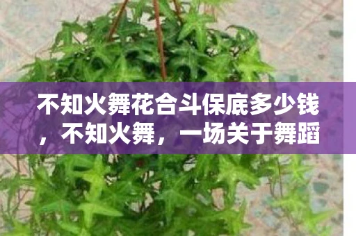 不知火舞花合斗保底多少钱,不知火舞,一场关于舞蹈与文化的奇妙之旅 不知火舞花合斗保底多少钱,不知火舞,一场关于舞蹈与文化的奇妙之旅