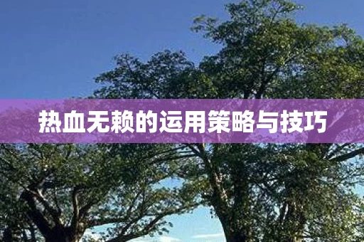 热血无赖的运用策略与技巧图片