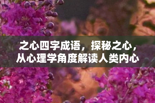 之心四字成语，探秘之心，从心理学角度解读人类内心深处的渴望与追求