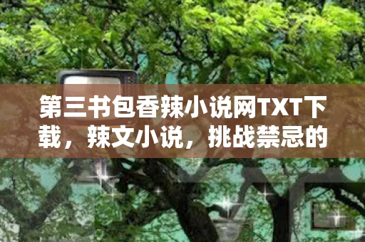 第三书包香辣小说网TXT下载，辣文小说，挑战禁忌的文学冒险