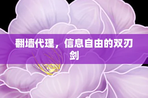 翻墙代理，信息自由的双刃剑