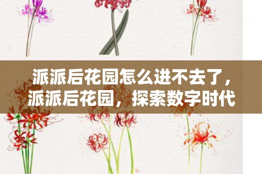 派派后花园怎么进不去了，派派后花园，探索数字时代的创意与灵感