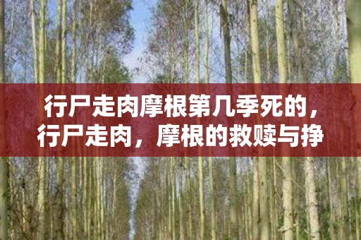 行尸走肉摩根第几季死的，行尸走肉，摩根的救赎与挣扎