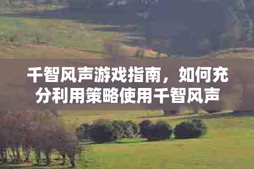 如何充分利用策略使用千智风声图片