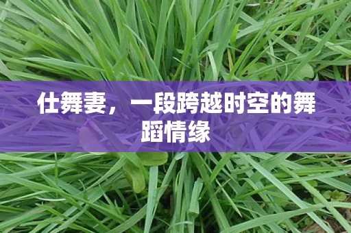 仕舞妻,一段跨越时空的舞蹈情缘 仕舞妻,一段跨越时空的舞蹈情缘