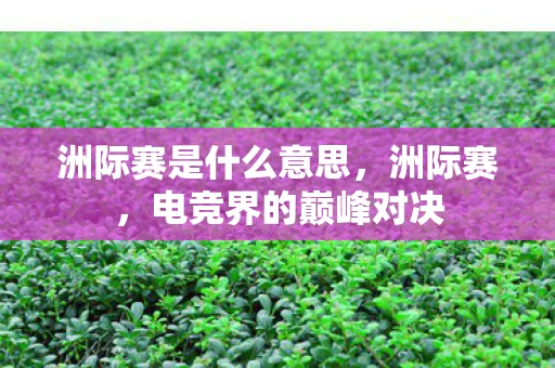 洲际赛是什么意思，洲际赛，电竞界的巅峰对决