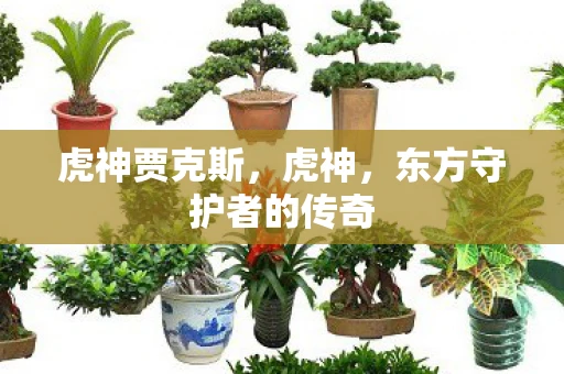 虎神贾克斯，虎神，东方守护者的传奇