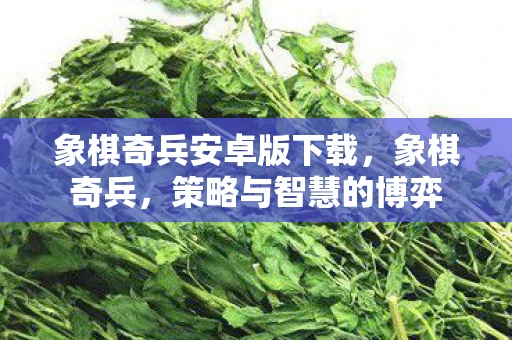 象棋奇兵安卓版下载，象棋奇兵，策略与智慧的博弈