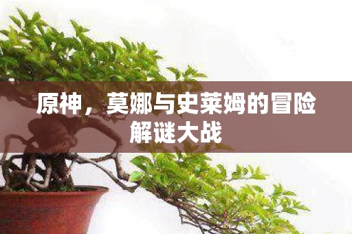 莫娜与史莱姆的冒险解谜大战图片