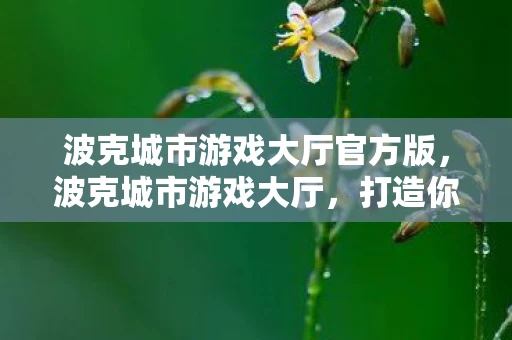 波克城市游戏大厅官方版，波克城市游戏大厅，打造你的专属娱乐天地