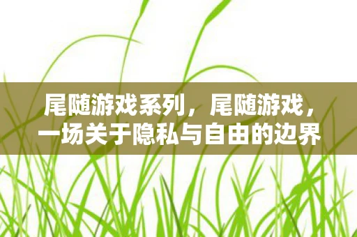尾随游戏系列，尾随游戏，一场关于隐私与自由的边界探索