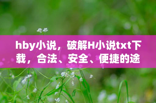 hby小说，破解H小说txt下载，合法、安全、便捷的途径
