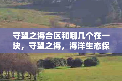 守望之海合区和哪几个在一块，守望之海，海洋生态保护与人类未来的希望