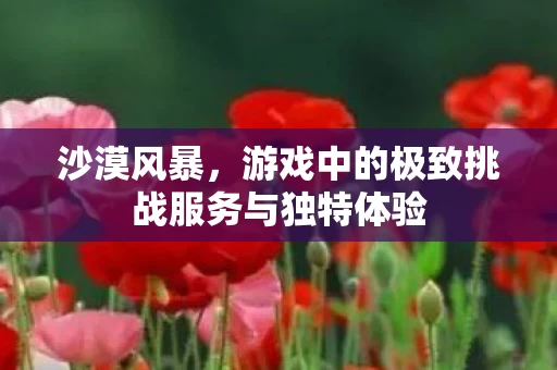 游戏中的极致挑战服务与独特体验图片