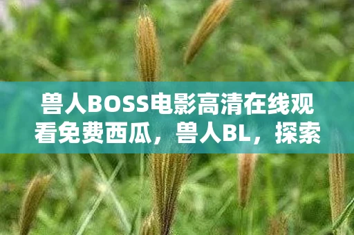 兽人BOSS电影高清在线观看免费西瓜,兽人BL,探索奇幻世界的禁忌之恋 兽人BOSS电影高清在线观看免费西瓜,兽人BL,探索奇幻世界的禁忌之恋