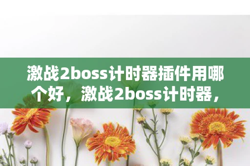 激战2boss计时器插件用哪个好，激战2boss计时器，提升游戏效率与团队协调的神器