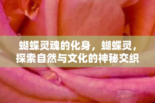 蝴蝶灵魂的化身,蝴蝶灵,探索自然与文化的神秘交织 蝴蝶灵魂的化身,蝴蝶灵,探索自然与文化的神秘交织