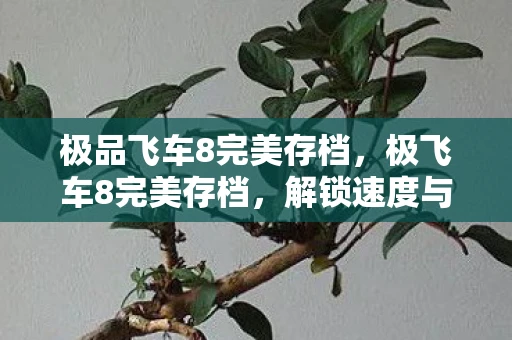 极品飞车8完美存档，极飞车8完美存档，解锁速度与激情的终极挑战