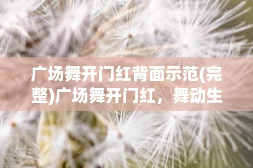 广场舞开门红背面示范(完整)广场舞开门红，舞动生活的热情与活力