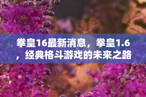 拳皇16最新消息，拳皇1.6，经典格斗游戏的未来之路