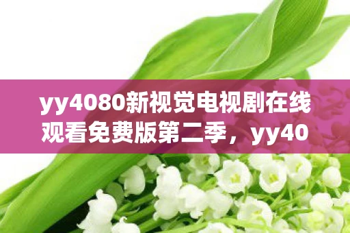 yy4080新视觉电视剧在线观看免费版第二季，yy4080新视觉，解锁影视娱乐的新窗口
