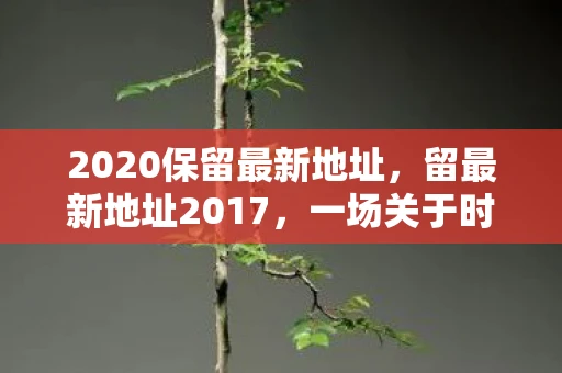 2020保留最新地址，留最新地址2017，一场关于时间、空间与记忆的旅行