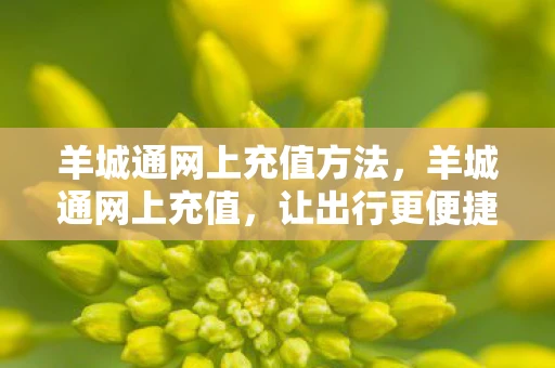 羊城通网上充值方法,羊城通网上充值,让出行更便捷 羊城通网上充值方法,羊城通网上充值,让出行更便捷