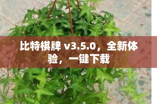 比特棋牌 v3图片