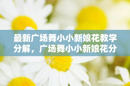 最新广场舞小小新娘花教学分解，广场舞小小新娘花分解动作详解