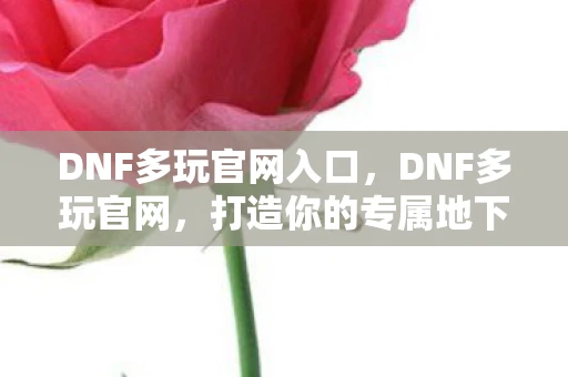DNF多玩官网入口，DNF多玩官网，打造你的专属地下城冒险之旅