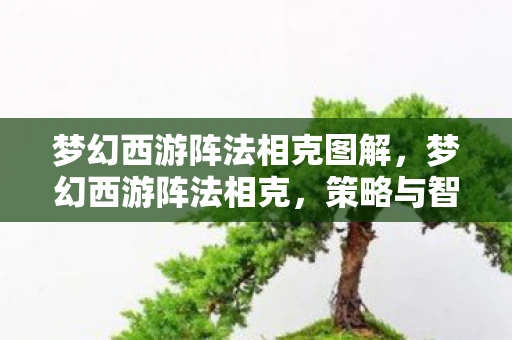 梦幻西游阵法相克图解，梦幻西游阵法相克，策略与智慧的碰撞
