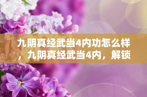 九阴真经武当4内功怎么样，九阴真经武当4内，解锁内功新境界