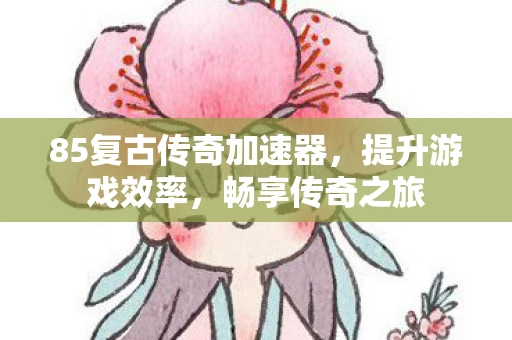 85复古传奇加速器，提升游戏效率，畅享传奇之旅