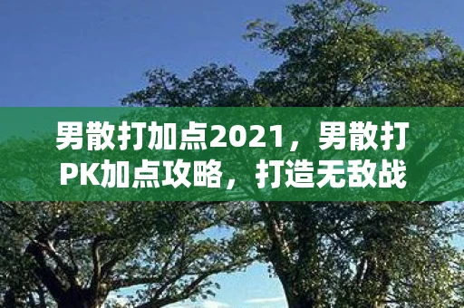 男散打加点2021，男散打PK加点攻略，打造无敌战斗力的关键