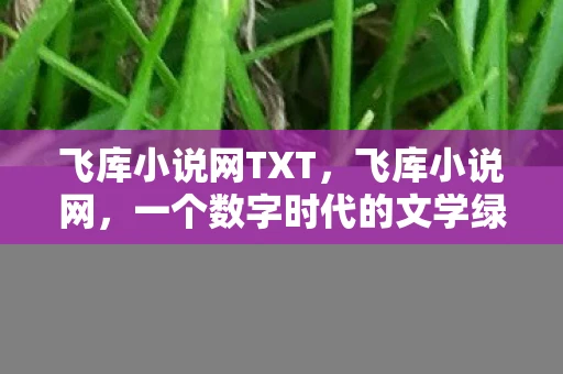 飞库小说网TXT,飞库小说网,一个数字时代的文学绿洲 飞库小说网TXT,飞库小说网,一个数字时代的文学绿洲
