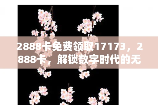 2888卡免费领取17173，2888卡，解锁数字时代的无限可能