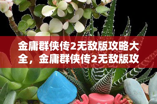 金庸群侠传2无敌版攻略大全，金庸群侠传2无敌版攻略