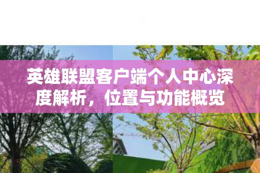 英雄联盟客户端个人中心深度解析图片