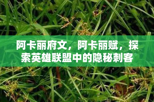 阿卡丽府文，阿卡丽赋，探索英雄联盟中的隐秘刺客