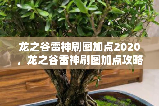 龙之谷雷神刷图加点2020，龙之谷雷神刷图加点攻略