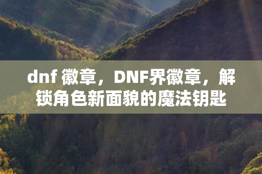 dnf 徽章,DNF界徽章,解锁角色新面貌的魔法钥匙 dnf 徽章,DNF界徽章,解锁角色新面貌的魔法钥匙