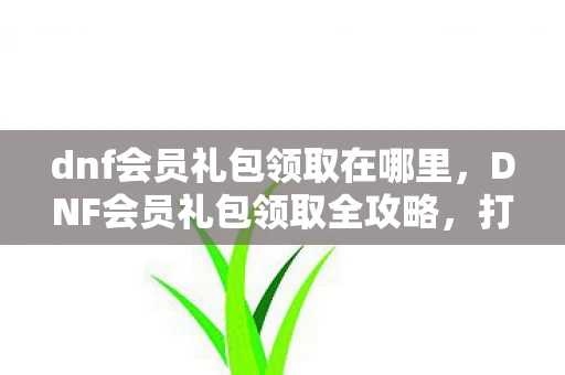dnf会员礼包领取在哪里，DNF会员礼包领取全攻略，打造你的专属游戏福利！