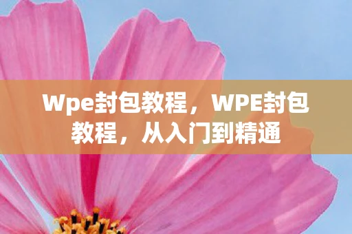 Wpe封包教程,WPE封包教程,从入门到精通 Wpe封包教程,WPE封包教程,从入门到精通