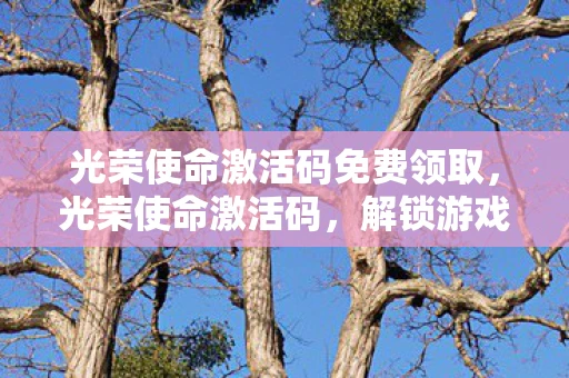 光荣使命激活码免费领取，光荣使命激活码，解锁游戏新世界的钥匙