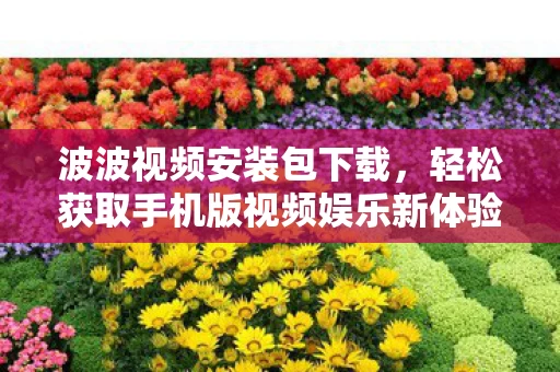 轻松获取手机版视频娱乐新体验图片