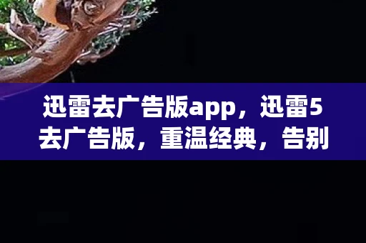 迅雷去广告版app,迅雷5去广告版,重温经典,告别烦扰 迅雷去广告版app,迅雷5去广告版,重温经典,告别烦扰