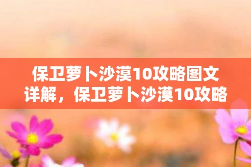 保卫萝卜沙漠10攻略图文详解，保卫萝卜沙漠10攻略，策略与技巧详解
