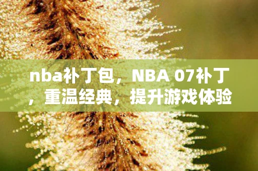 nba补丁包，NBA 07补丁，重温经典，提升游戏体验